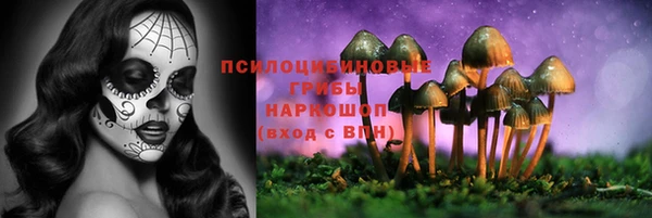 спиды Арсеньев