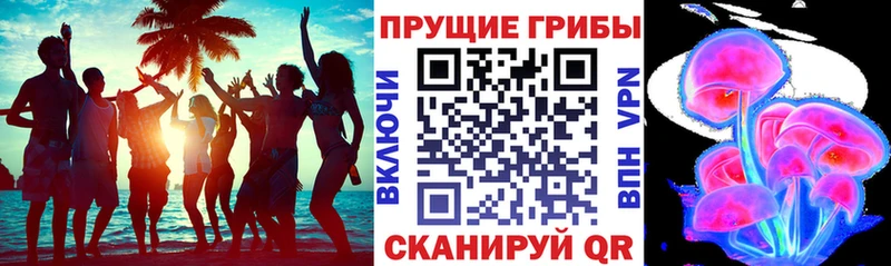 Псилоцибиновые грибы Cubensis  Терек 